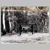 ASF-P-00300 Yarrangobilly feb1976.jpg